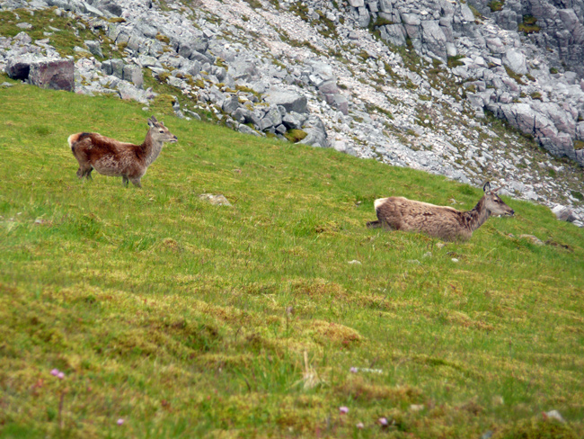 Torridon Image2